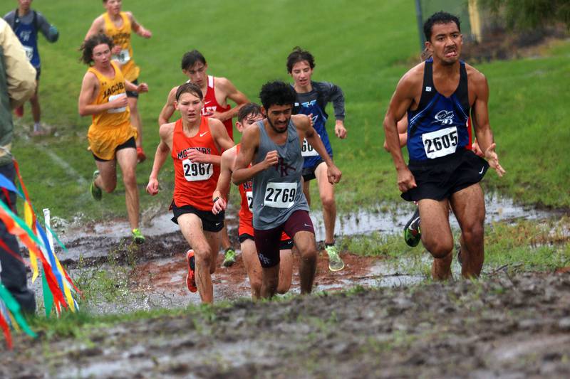 Runners compete during the Fox Valley Conference Boys Cross Country Meet at Plato Park in Elgin Saturday.