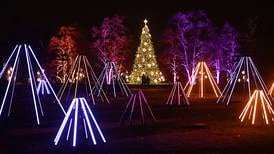 Discover holiday light shows across northern Illinois