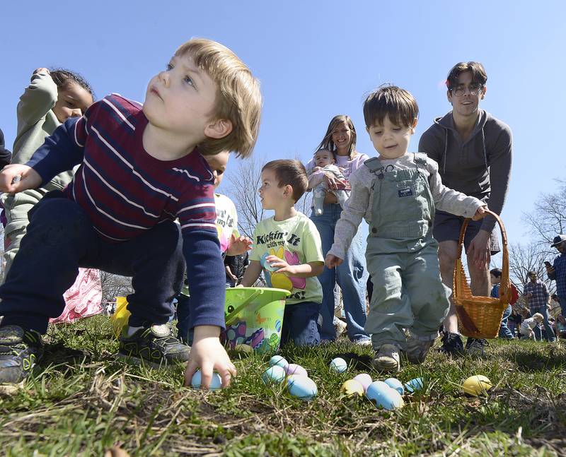 Children work to fill their basket during the annual Easter Egg Hunt Saturday sponsored by Marseilles Recreation at Illini State Park in Marseilles. Four different age groups and a special needs participated