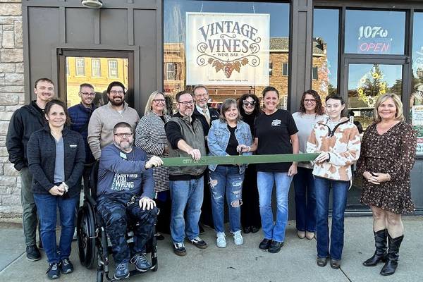 Vintage Vines, a wine bar, opens in Spring Valley