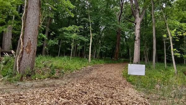 Master Gardeners plan winter seed workshop Jan. 31