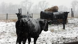 Henry: Farmers need a financial boost