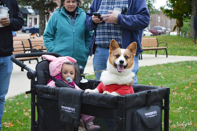 Amethyst Watson, of Mt. Morris, sits in her stroller with the family dog, Chester, during the Family Fall Festival at the Mt. Morris village square on Oct. 16. This was the festival's first year; it serves as an additional fundraiser for the Let Freedom Ring Fourth of July fireworks.