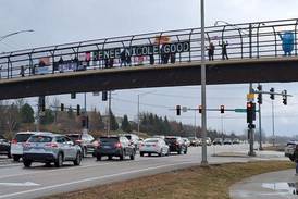 Several Anti-Trump No Kings rallies set for Saturday in Kane County area