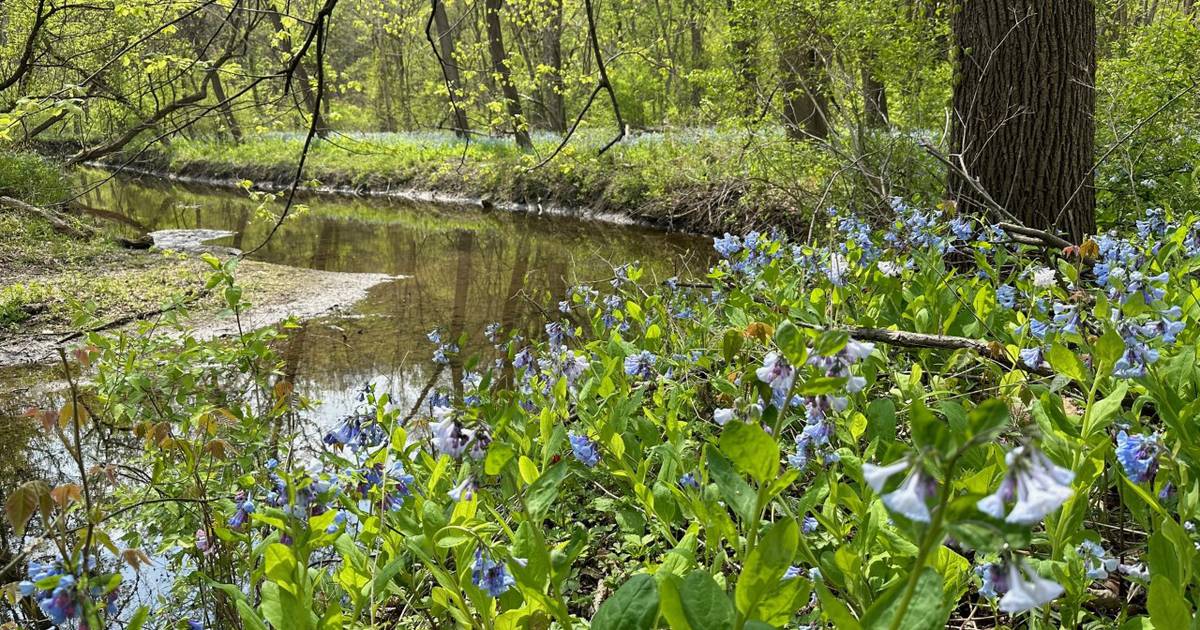 Starved Rock State Park chosen as spotlight site for Leave No Trace
