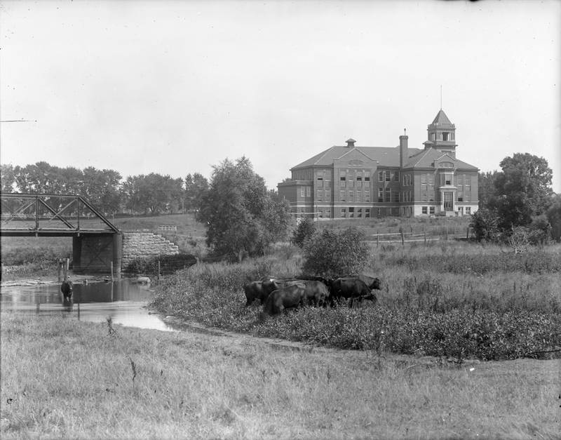 The bridge at First Street looking southeast toward the old DeKalb High School, circa 1905.