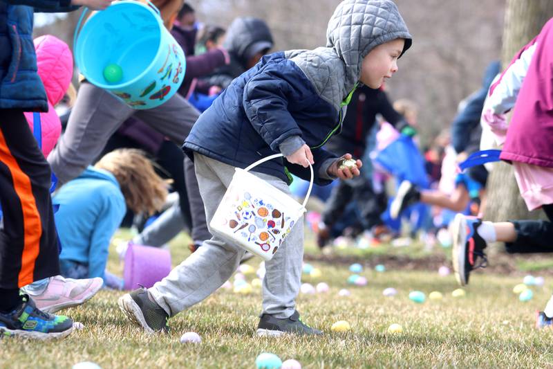 Photos Algonquin Egg Hunt Shaw Local