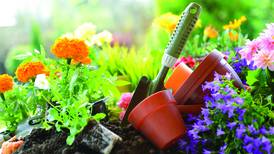 Grow Spring Valley hosts garden-to-table cooking class Sept. 4