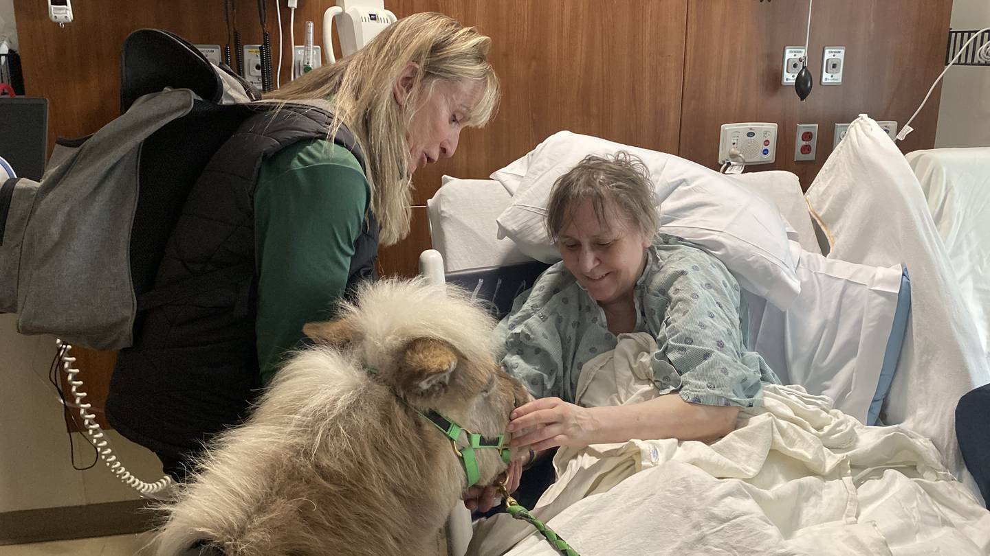 Charmer visits a patient Dec. 13 at Advocate Good Shepherd Hospital in Barrington.
