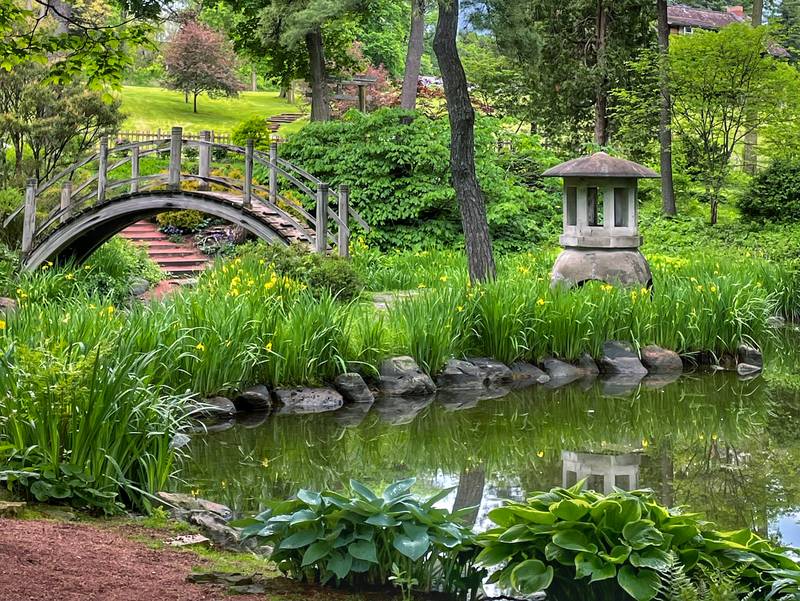The Geneva Garden Club and Friends of Fabyan are honoring the late Darlene Larson in a ceremony from 1 to 3 p.m. Sunday at the historic 1914 Fabyan Japanese Garden in Fabyan Forest Preserve. In 1972, Larson spearheaded work to renovate the garden and founded Friends of Fabyan to continue its preservation.