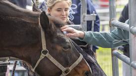 Down on the Farm: Sterling High School Farmapalooza introduces grade-schoolers to ag life