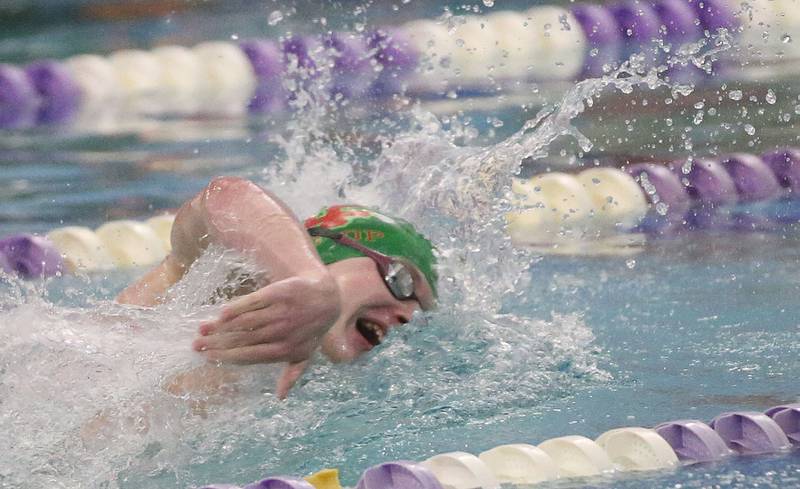 L-P Co-op swimmer Jonathan Neu competes in the 100 yard freestyle  event during a triangular meet against Morrison and Olympia on Wednesday, Jan. 22, 2025 at the Illinois Valley YMCA in Peru.
