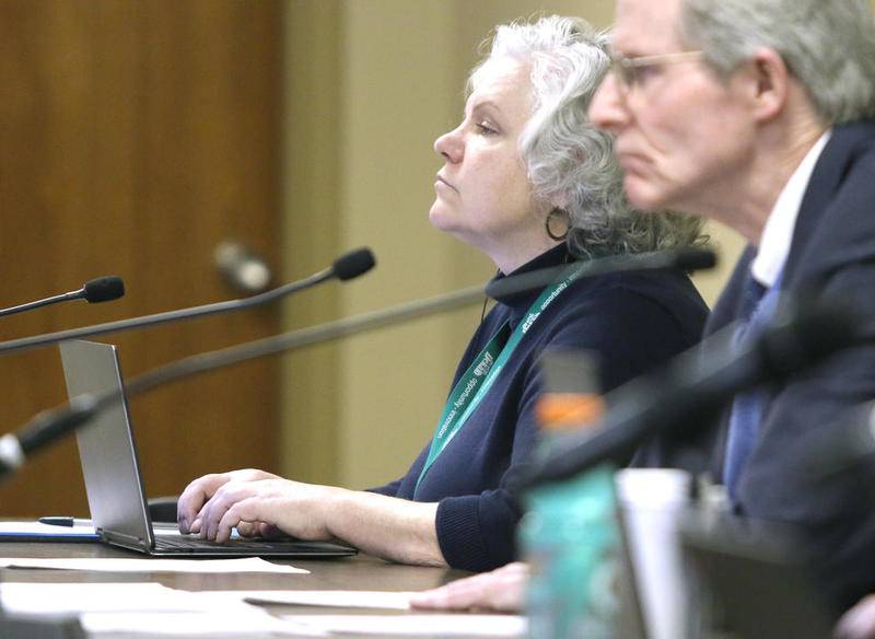 DeKalb City Clerk Lynn Fazekas and City Manager Bill Nicklas listen to a presenter during the Committee of the Whole meeting Monday night at the DeKalb Municipal Building.