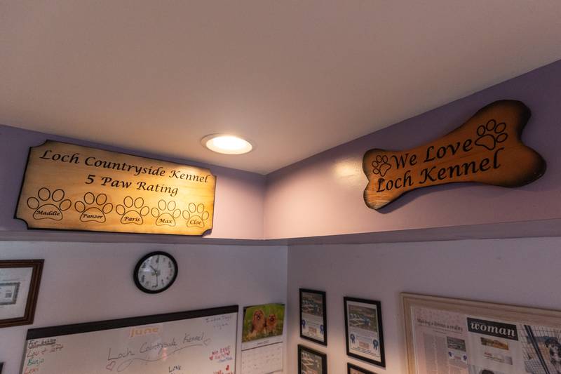 Signs gifted by customers hang in office of Laura Loch on Friday, June 27, 2025 at Loch Countryside Kennel in Peru.