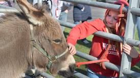 Piglets ‘oinky’ at Forreston FFA’s Ag Day