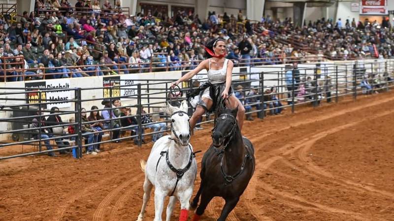 The most-read entertainment stories in northern Illinois in 2025