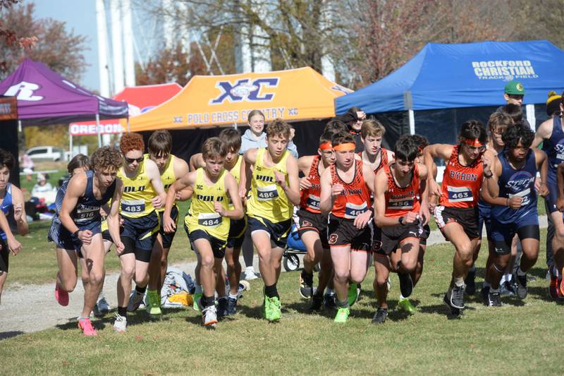 Polo-Forreston and Byron runners start the boys race at the 1A Rock Island Cross Country Sectional on Saturday, Nov. 2, 2024 at Saukie Golf Course in Rock Island.