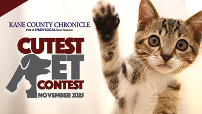 Kane County November Cutest Pet Contest