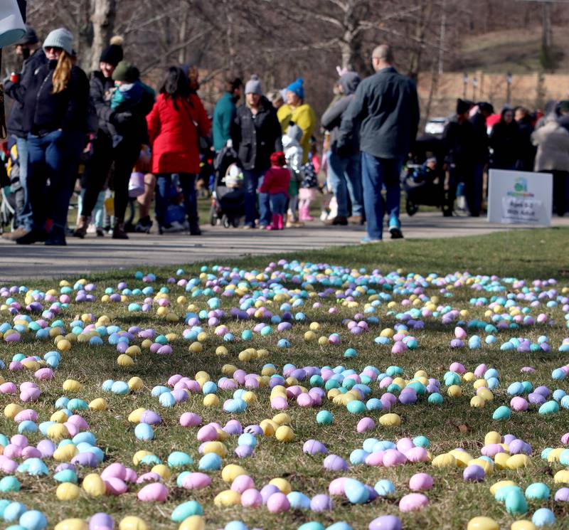 Photos Algonquin Egg Hunt Shaw Local