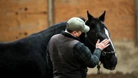 Horse rescue charity gets temporary win, as judge blocks sale of farm it rents