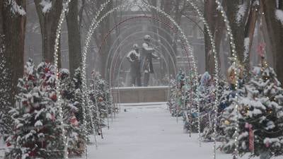 Shaw Local Radio Podcast: Hegler Carus Mansion’s Christmas tree tour