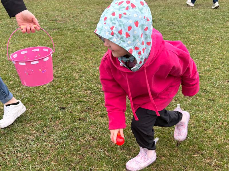Kinsley Hicks, 4, of Johnsburg, picks up an egg during the Easter Egg Hunt at Sunnyside Memorial Park in Johnsburg, Saturday, April 4, 2026.