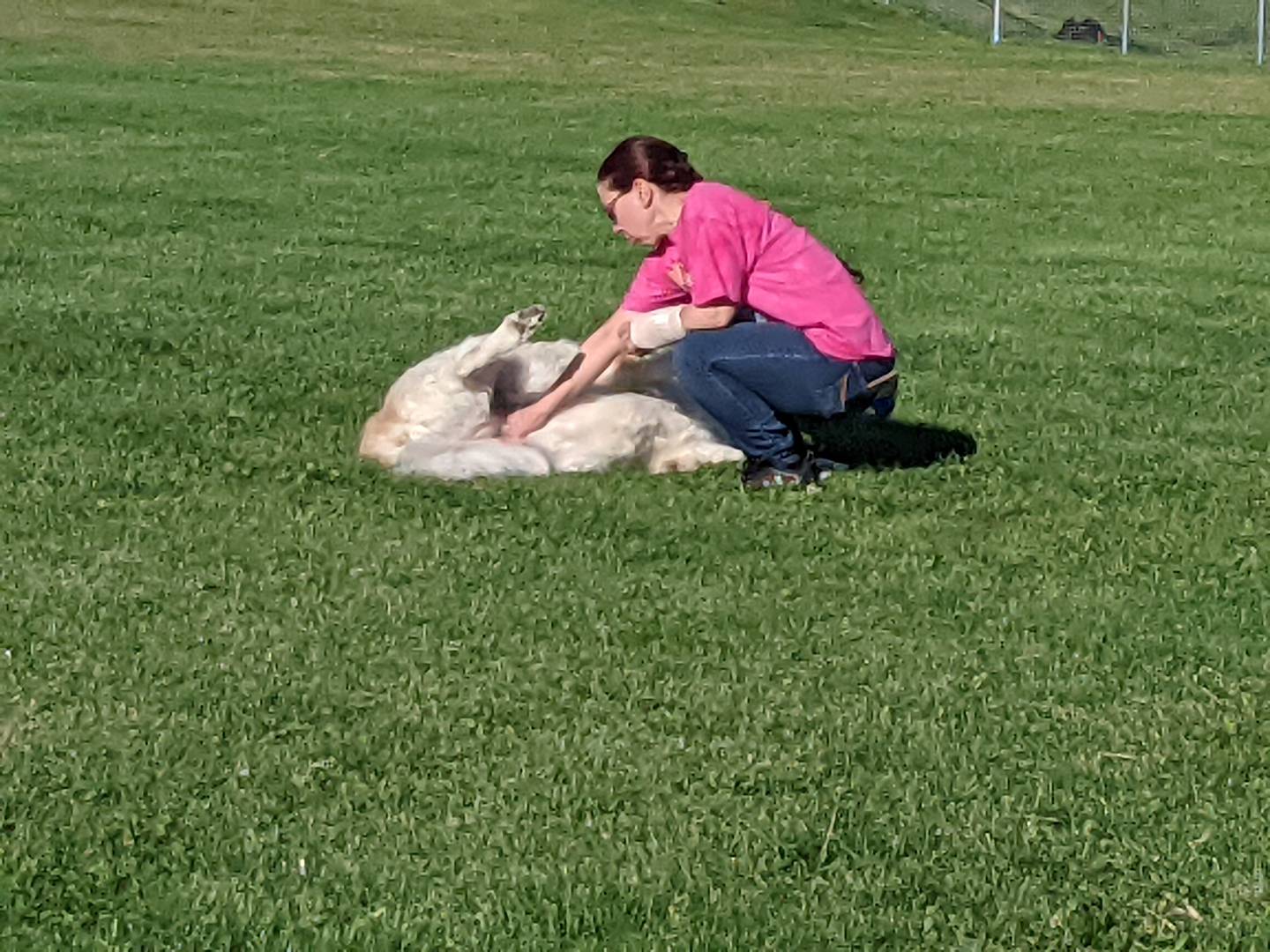 Sandy Brinegar of Newark and her dog Sophie were enjoying the newly opened Troeger Dog Park in Sandwich on Oct. 5 as part of the park's grand opening.