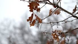 Warm weather allows long-delayed leaf pickup to resume in St. Charles 