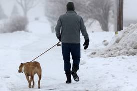 Here’s how to keep your dog safe in winter weather