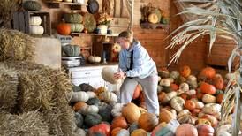 Photos: Pumpkins, gourds and hay at the Sugar Grove Pumpkin Farm 