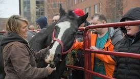 ‘Horses can really teach a lot’: Benedictine to launch animal-assisted therapy course