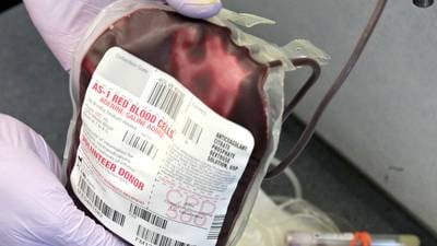 St. Bede partners with Red Cross for Nov. 4 blood drive