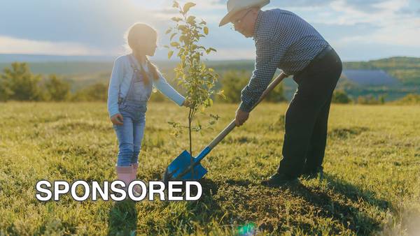 How to Create a Long-lasting Tribute to Memorialize a Loved One