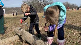 The Local Scene: Flea Market and maple sugaring in Kane County this weekend