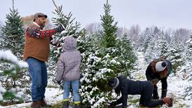Richardson Christmas Tree Farm opens Nov. 29