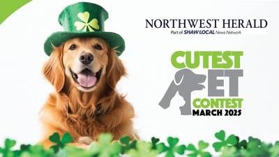 McHenry County’s March Cutest Pet Contest