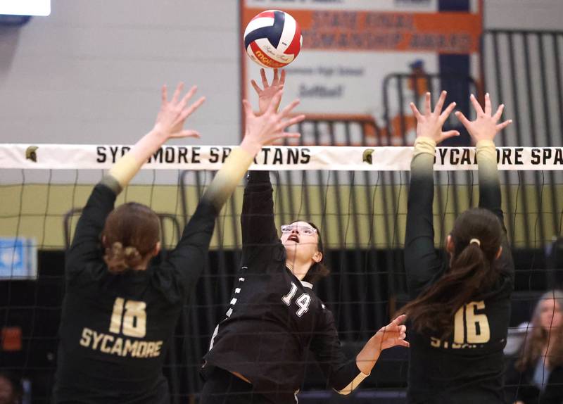 Kaneland's Olivia d’Escoto tries to tip the ball between Sycamore's Sophia Martinez (left) and Norah Chami during their match Tuesday, Oct. 1, 2024, at Sycamore High School.