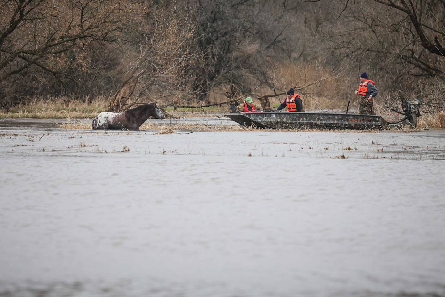 A horse was rescued near Marengo Saturday April 4, 2026.