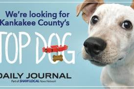 Your dog could be a star!