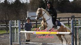Crystal Lake math teacher aims to inspire, whether in classroom or horse-riding arena