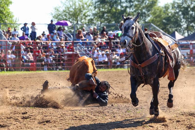 Robert Hughes, of Crete, takes down a steer in the steer wrestling competition during the 50th Pembroke Rodeo on Sunday, May 24, 2026. Hughes, a former NFL player, has been a lifelong rider and has been coming to the Pembroke Rodeo for 37 years.