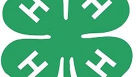 Ogle County 4-H members supporting food insecurity and patients with service projects