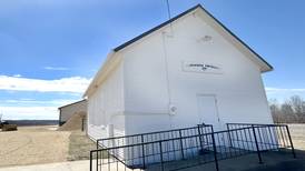 Ogle board passes resolution in support of townships
