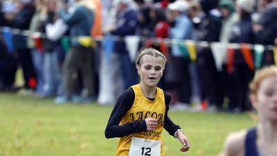 Jacobs girls qualify for state cross country out of Class 3A Hoffman Estates Sectional