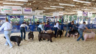 PHOTOS: Fun at the fair in Kendall County
