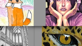 Yorkville Elevates student artwork along Illinois Route 47 