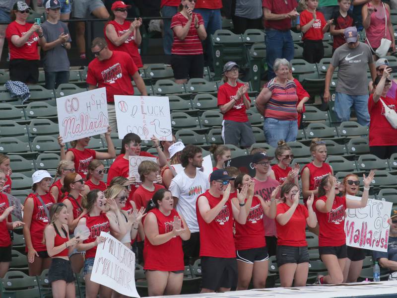 Henry-Senachwine fans cheer on their team during the Class 1A State semifinal game on Friday, June 2, 2023 at Dozer Park in Peoria.