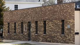 Lee County Board weighs pros, cons of proposed legislation to dissolve township government