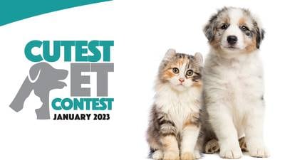My Suburban Life January 2023 Cutest Pet Contest