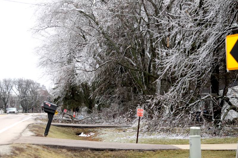 Ice covered trees and dripped from signs in western Kane County after a storm on Thursday, Feb. 23, 2023.